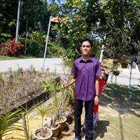 Arib Zuls