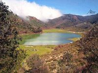 عبدالرزاق بلخضر