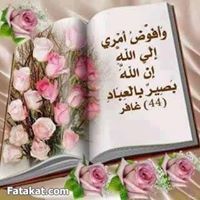 إبراهيم سمير