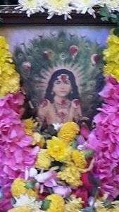 Nandhini Shrikanth