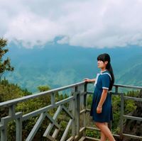 My Nguyễn