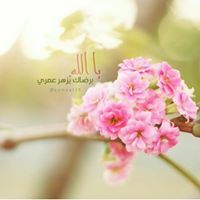 غادة الخاروف