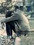 Shubham...