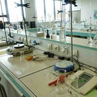 عفيف الحليسي