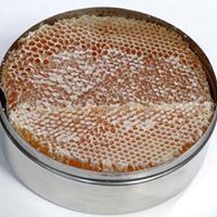 رزقي باسويدان