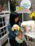 Putri T...