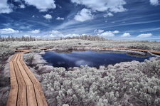 Uros