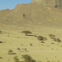 محمد منصوري