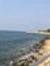 Saroona...