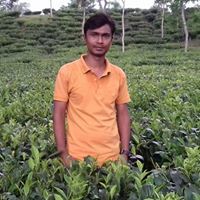 Arif Tushar