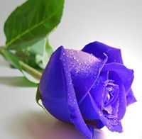 គង់ នរាហ៍