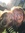 Mary Ann (mary_ann_yedinak) | 1 comments