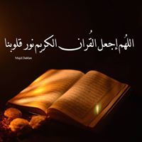 محمد النبيه