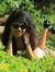 Dhruvi ...