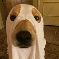 John Clay Wright, Jr.