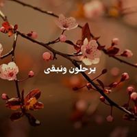 تراتيل الارواح