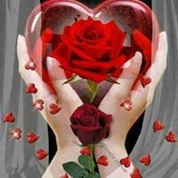 الشيماء يوسف