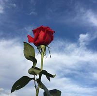 ﭑﭑﺩﻣﮩٰﮩٰﮩٰﮩٰﻨﺖ ﺣﮩٰﮩٰﮩٰﮩٰﺒﮓ