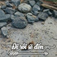 Cường Ngô