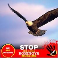 حدیبیہ رانا