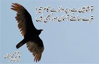 Xuhaib Bashir