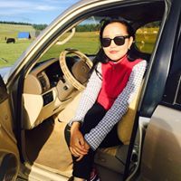 Н. Баднаагарав