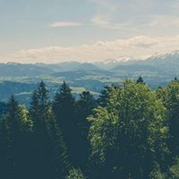 احمد الطائي