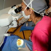 د.نرمين رفعت