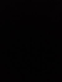 ਫਾਹਦ ਮਲਿਕ