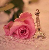 Weam Shurrab