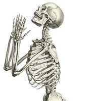 Nicholas William Bies