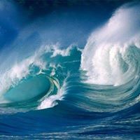 أرطبون العرب