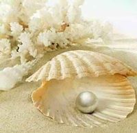 ماسة في صدفة