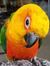 Dawna C...