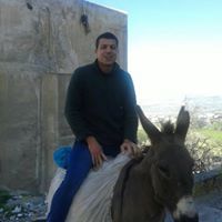 عامر الشنيطي