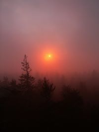 Александр Морозов