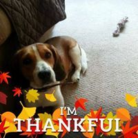 Abigail Goldenthomas