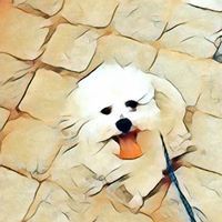 Đức Phạm