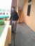 Md Kamal