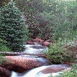 محمد عبد الصادق