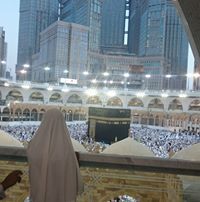 محمد الجمال