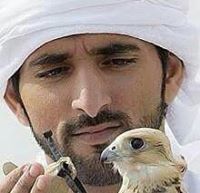 سفيان إبراهيم