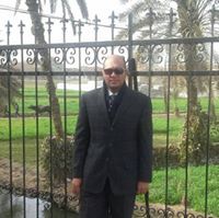 أحمد الحسنين