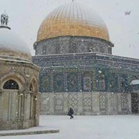 حمزة الصيداوي