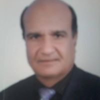 السيدمحمدحسن ال دردير