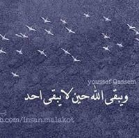 Saber Mohamed