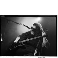 STEVEN P VOLPE
