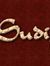 Sudip S...