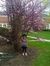 Deepthi...