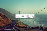 Ahmed Elsafir
